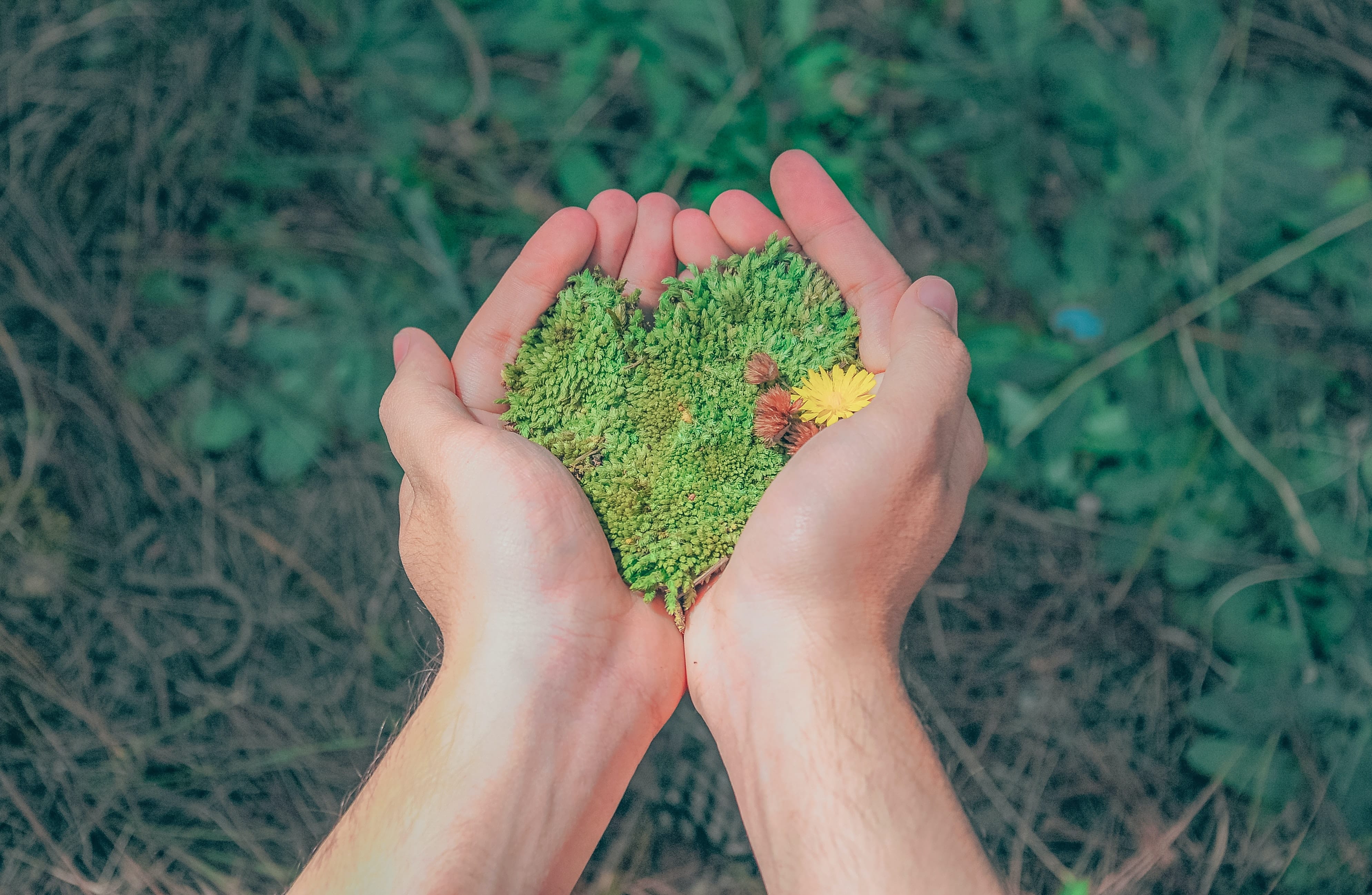 bio environnement