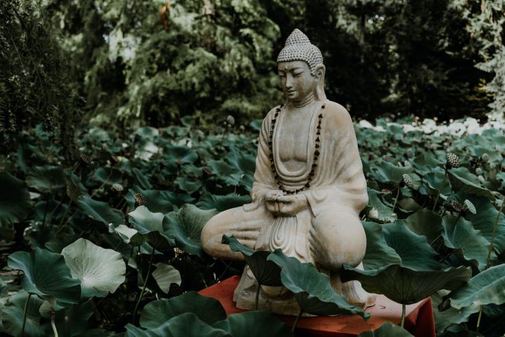yoga buddha