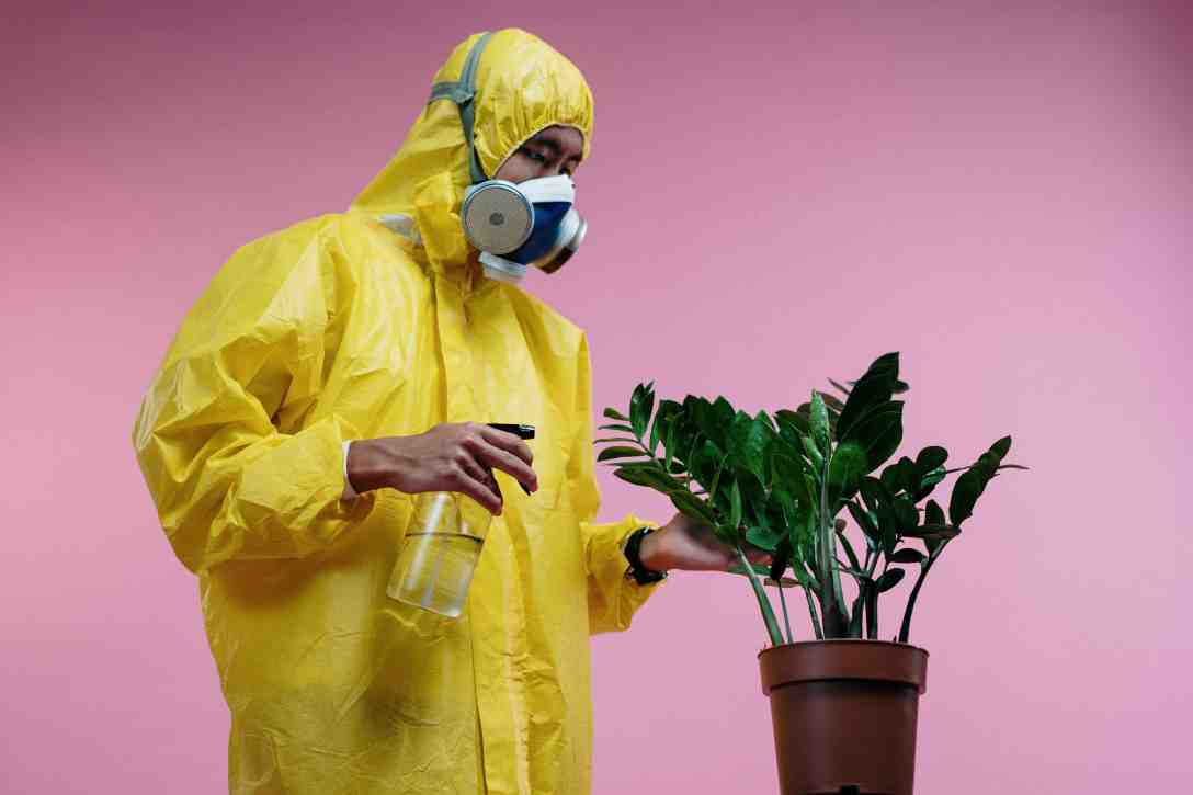 personne portant une tenue de protection anti covid arrosant une plante verte